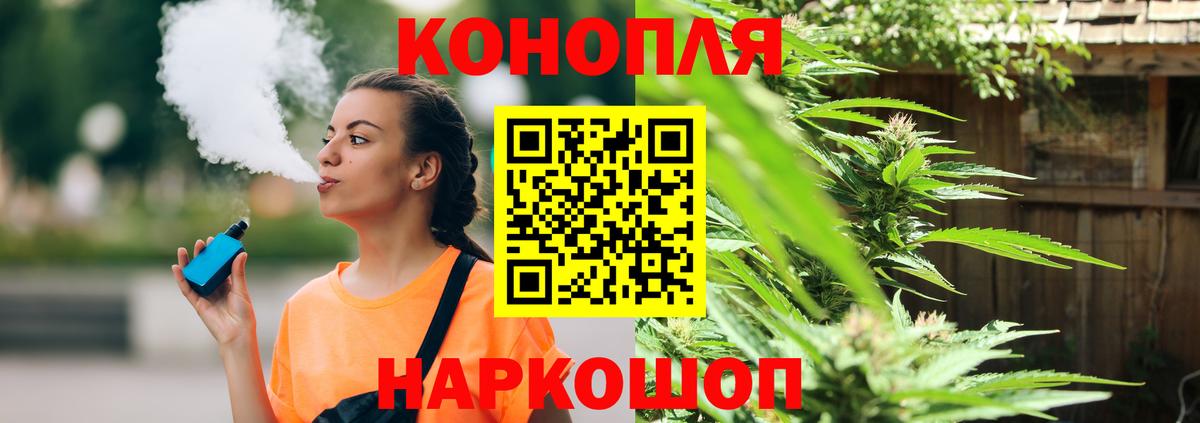 Каннабис индика Георгиевск